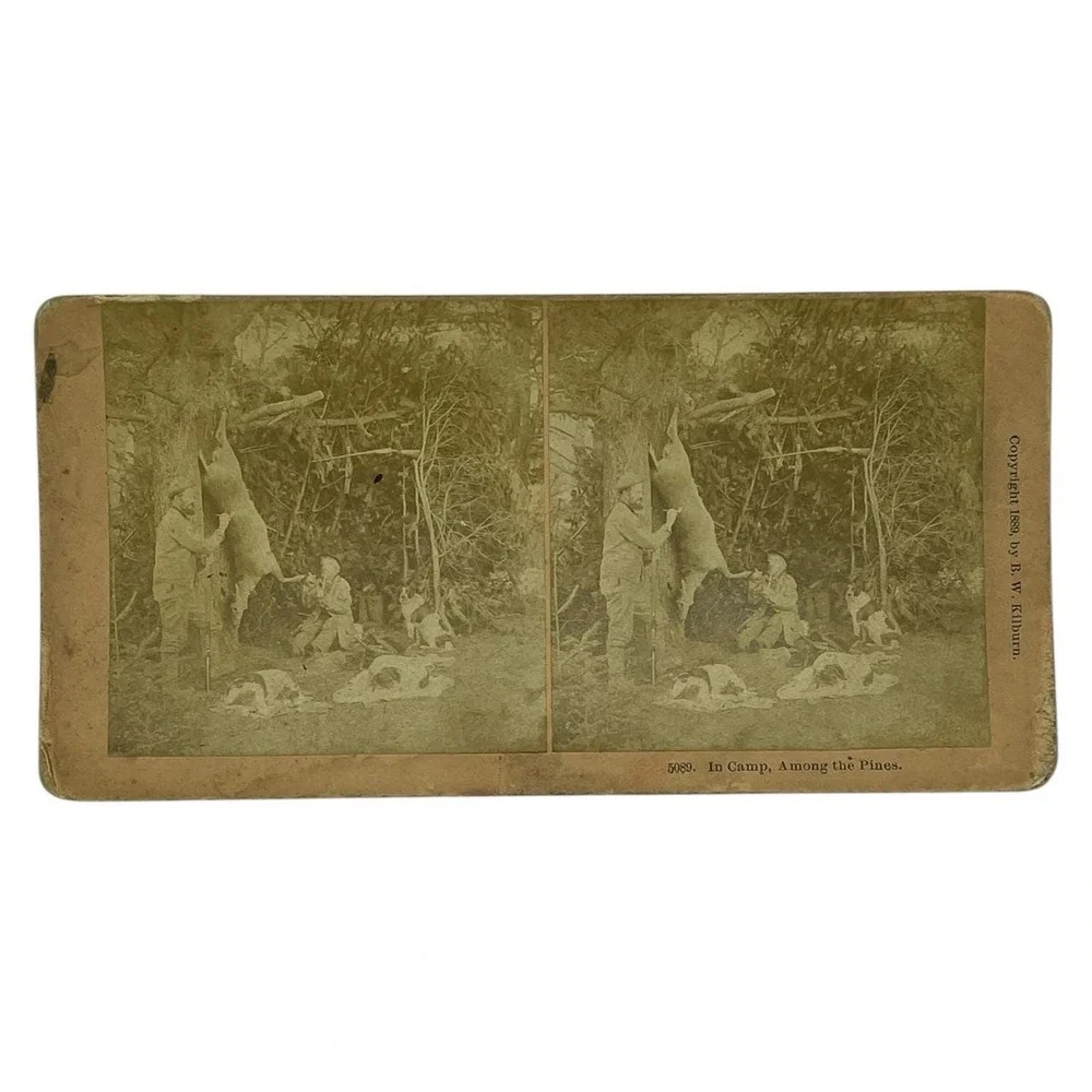 1889 BW Kilburn Stereoview In Camp Among the Pines Hunting‎ Scene Dogs